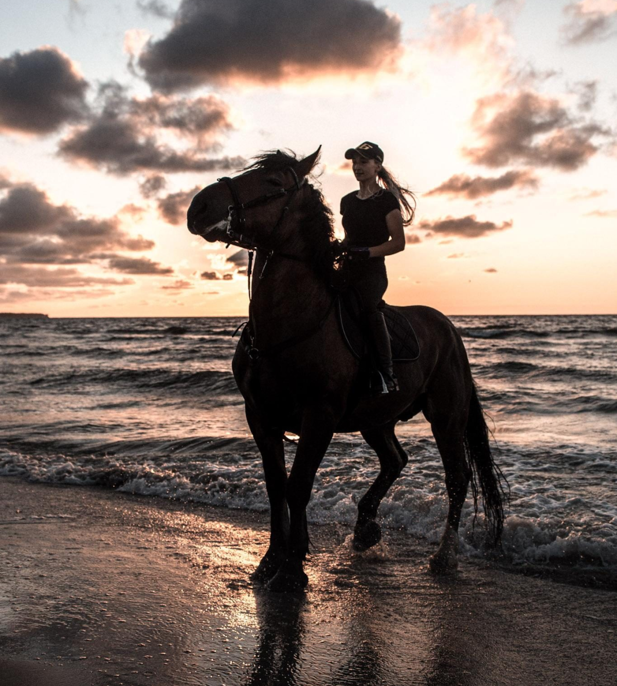 Horseback riding beach ride outdoor ride Zeeland Kamperland vacation