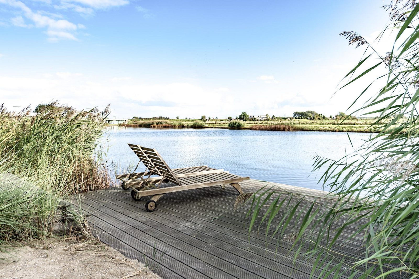 Panoramic views polder landscape