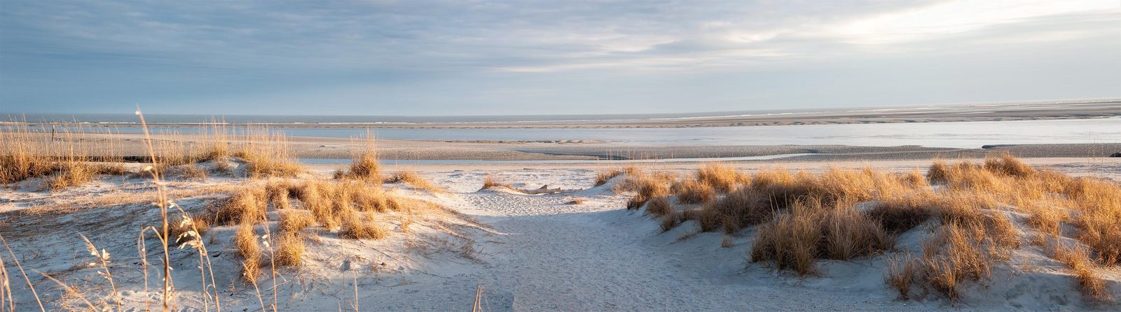 Workation Zeeuwse kust vakantie Nederland