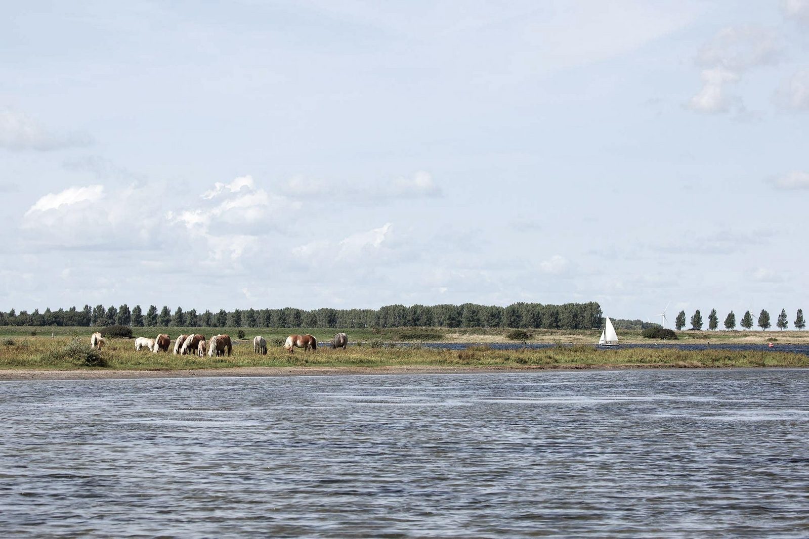 Veerse Meer the Netherlands Zeeland