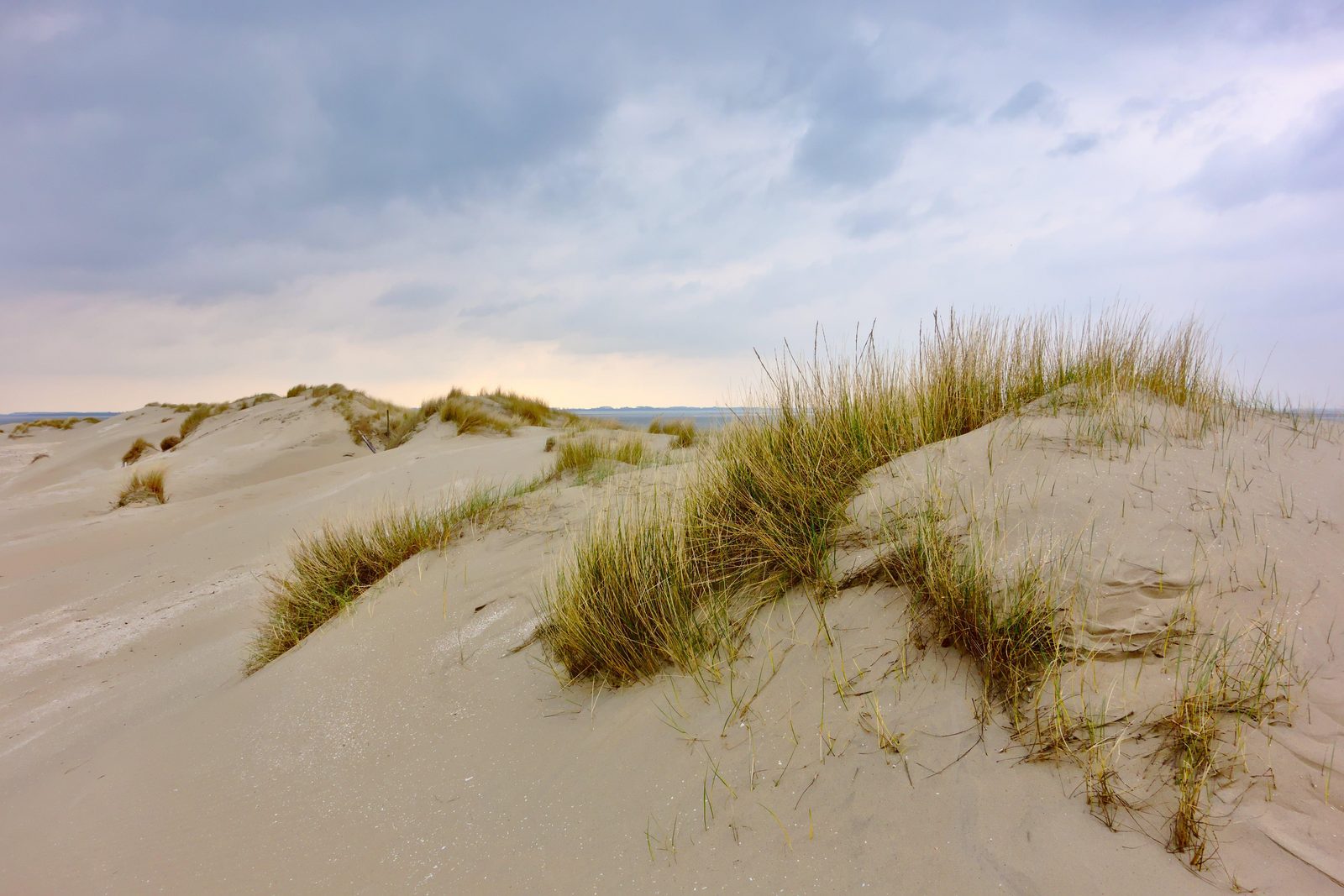 Beach holiday house Zeeland