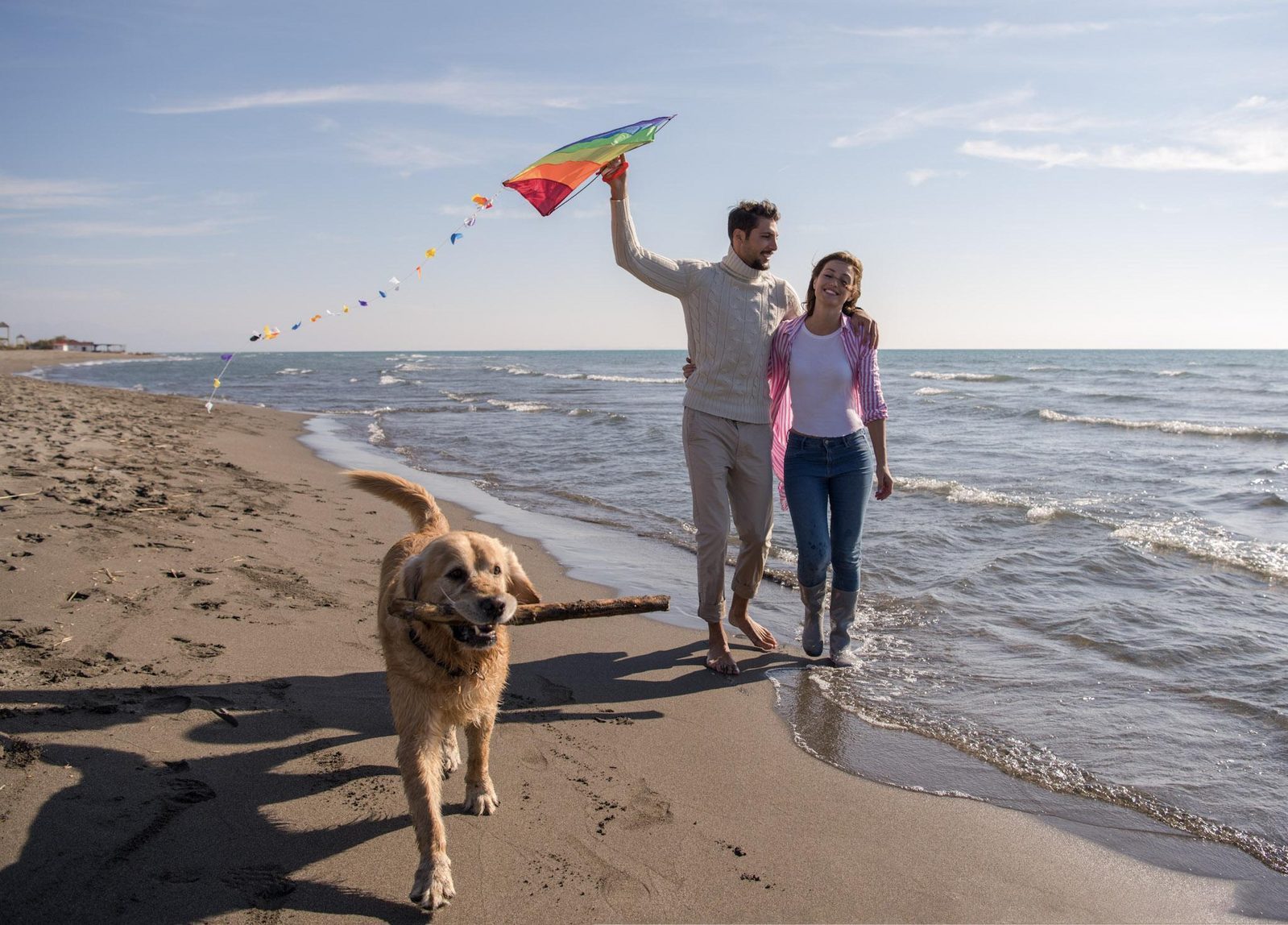 Holiday beach house with dog in the Netherlands