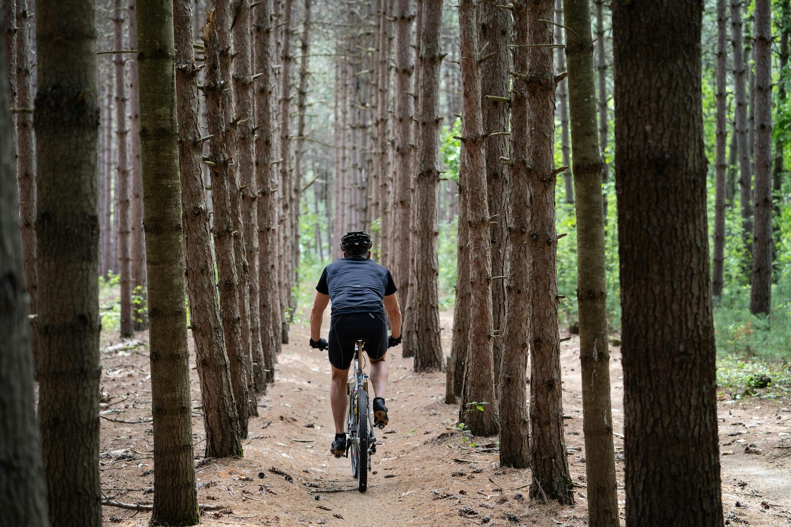 Cycling holiday in the Achterhoek