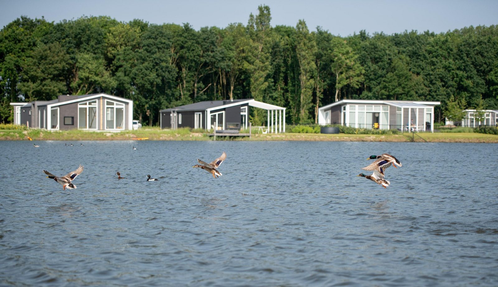 Wandelvakantie Zeeland
