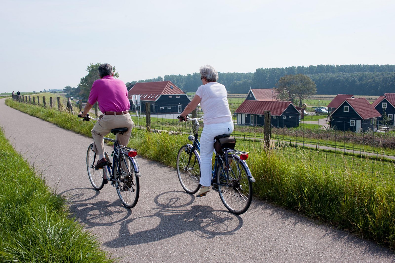 Cycling holiday Eastern Scheldt