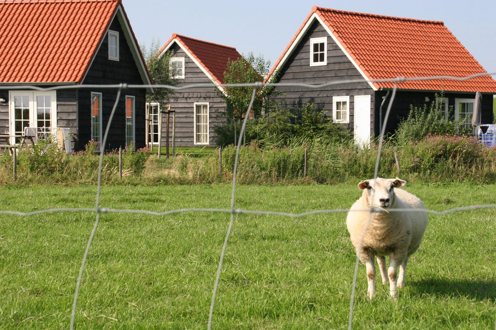 Discover our vacation homes in Zeeland