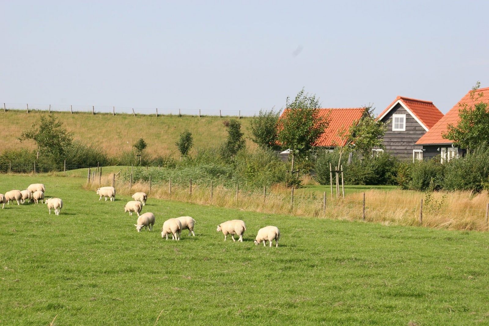 Spring break Zeeland