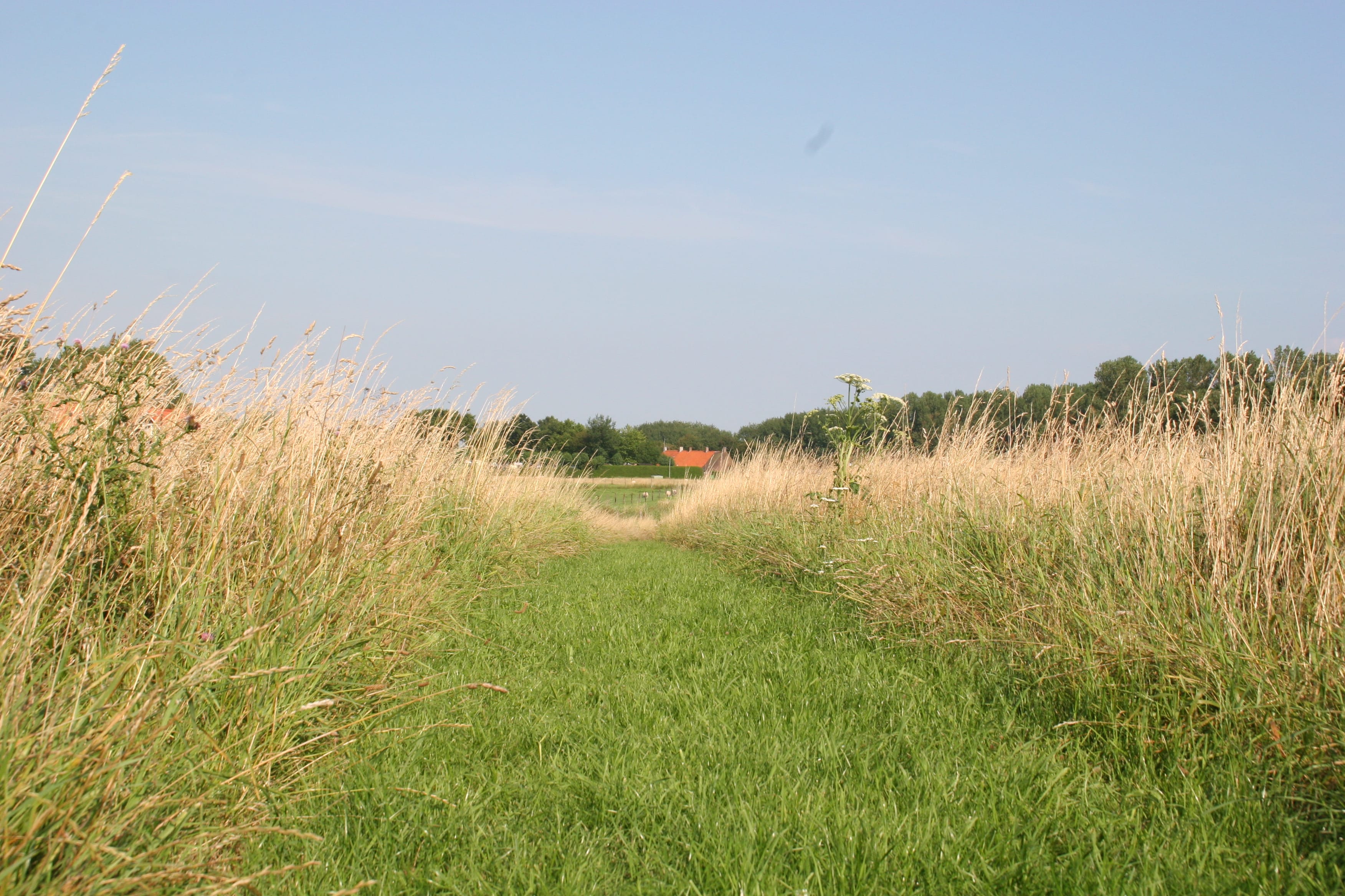 Oosterscheldepark de Stelhoeve in Wemeldinge — foto 3