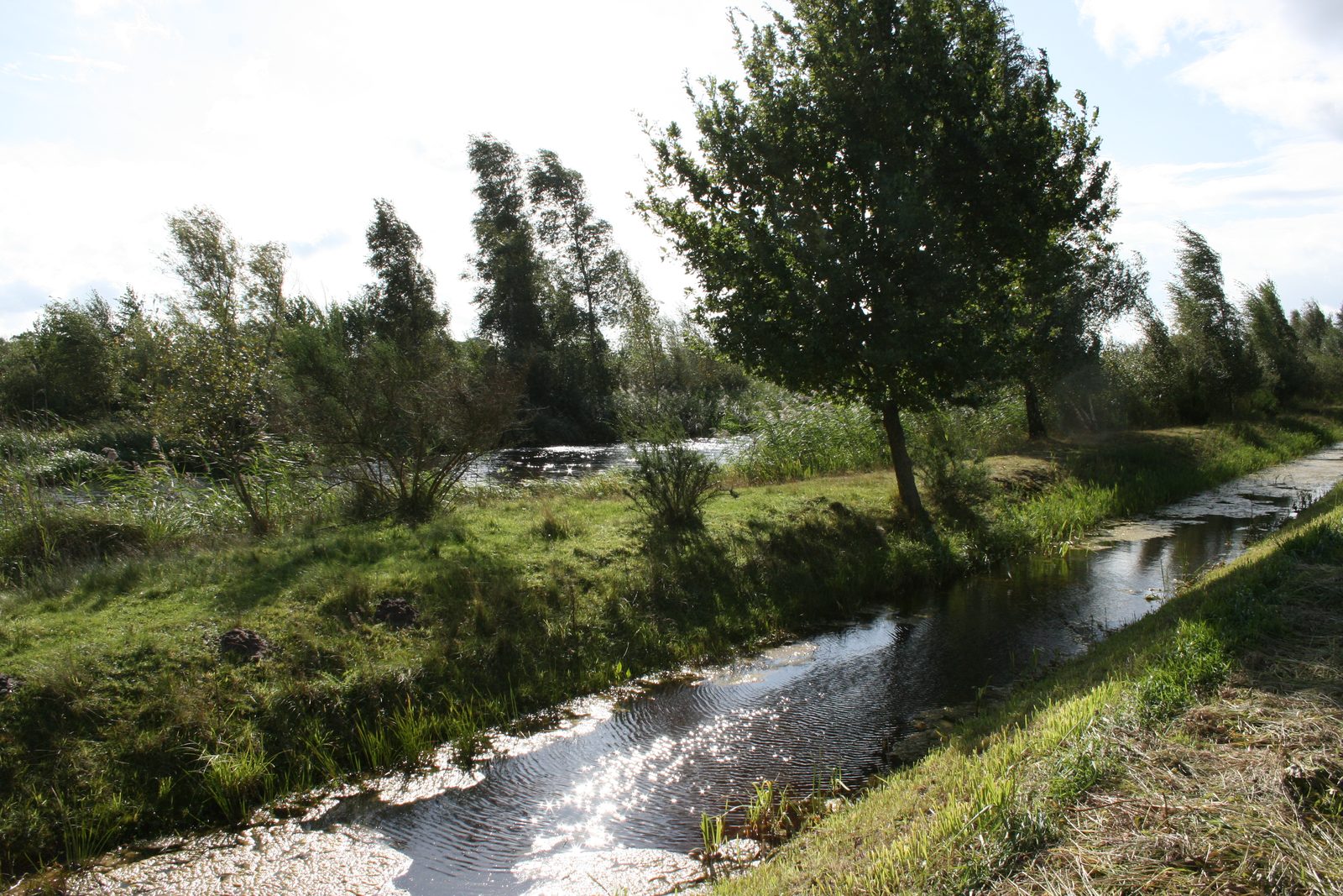 Diverse landscape along Hof van Salland