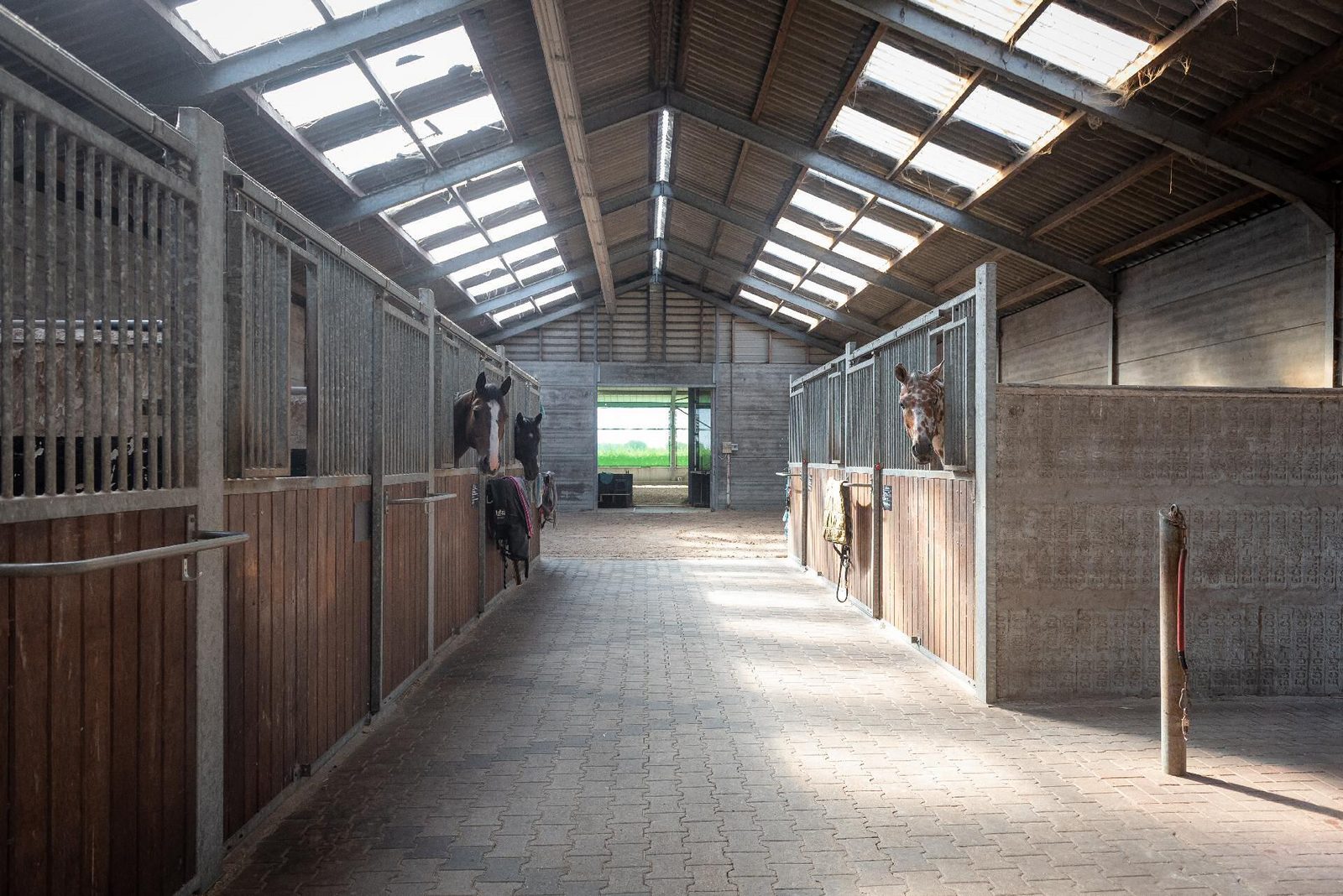 Horse stable Kamperland 