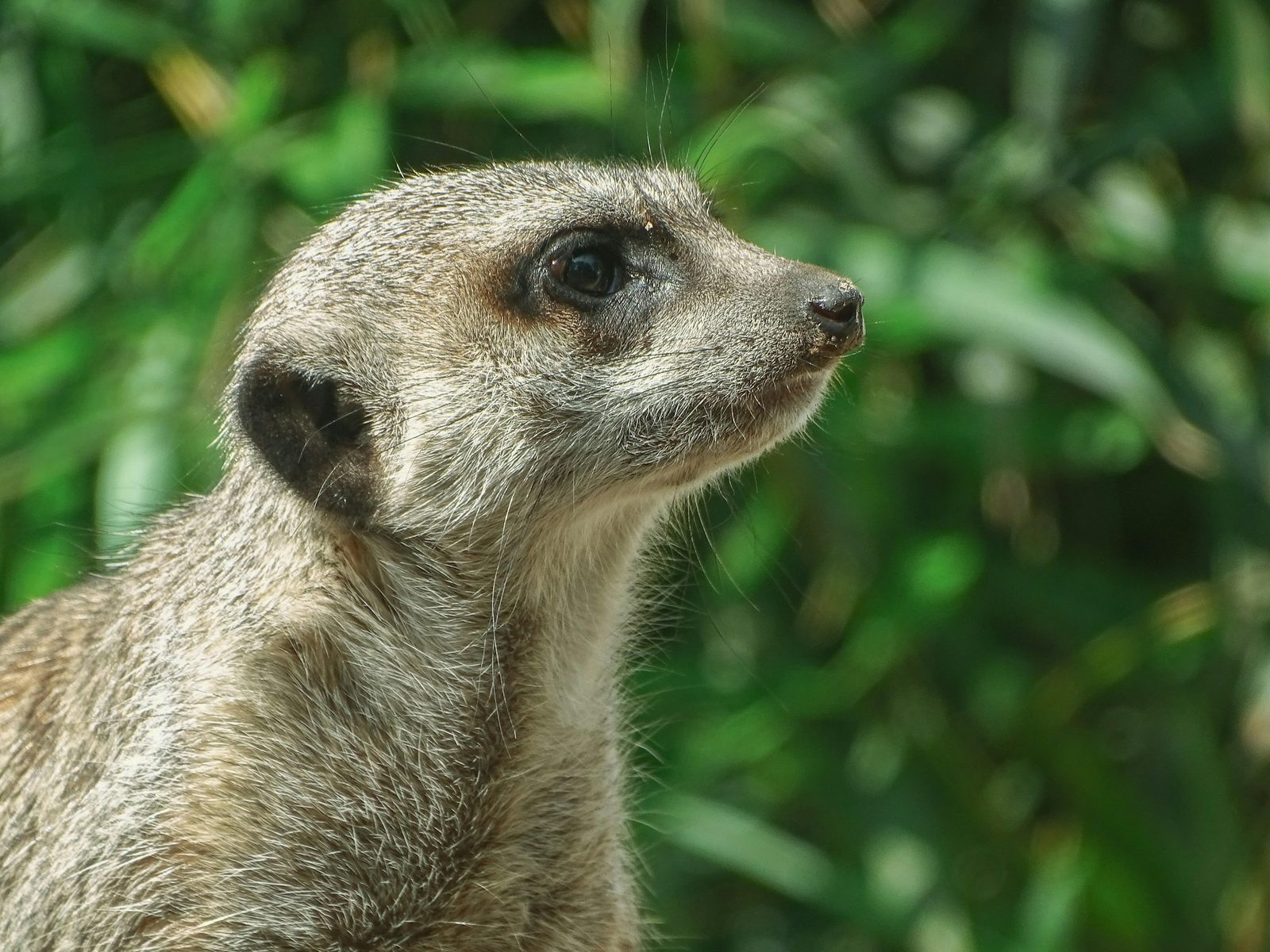 Ouwehands Dierenpark Rhenen