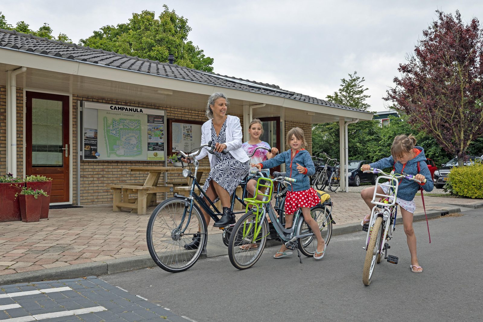 Bike rental Campanula