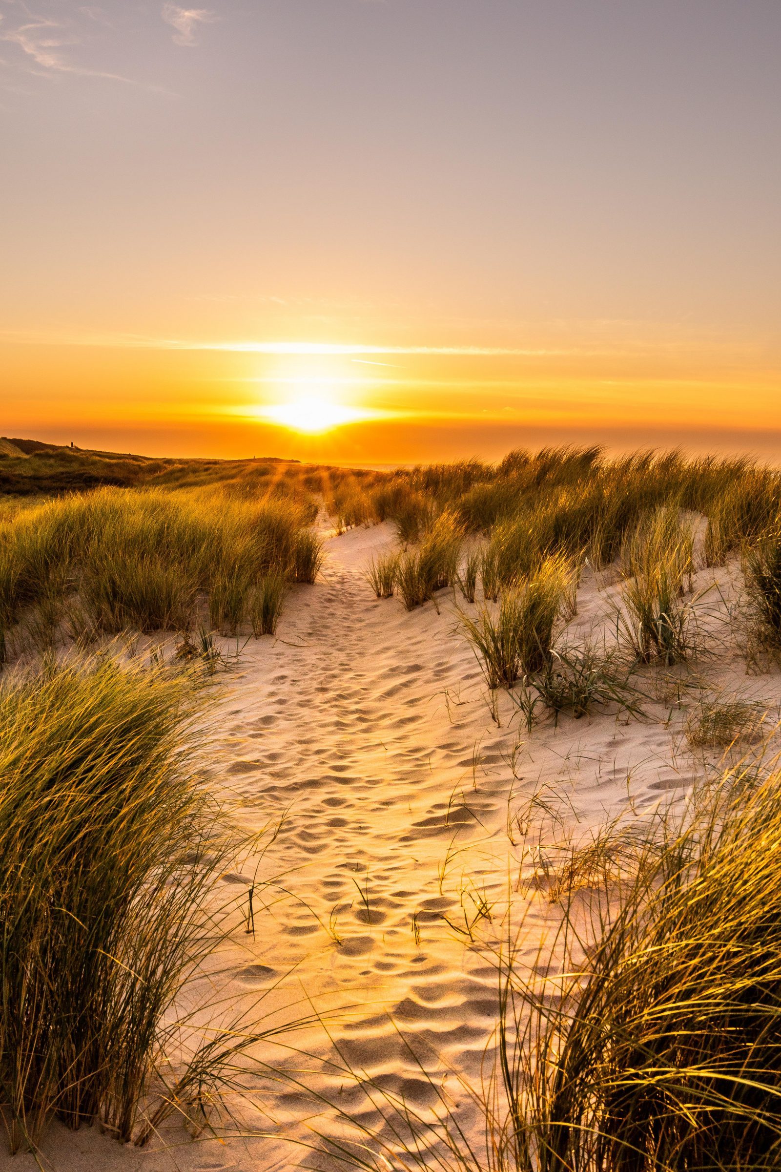 Holiday homes on the island of Walcheren