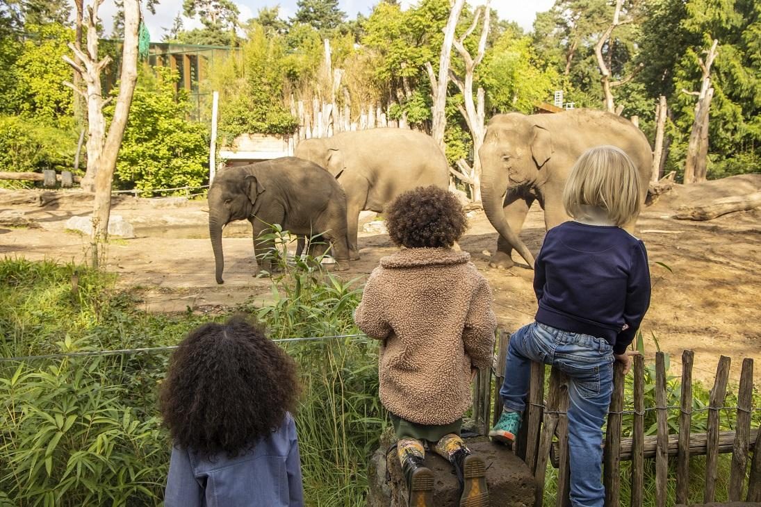 Zoo Amersfoort