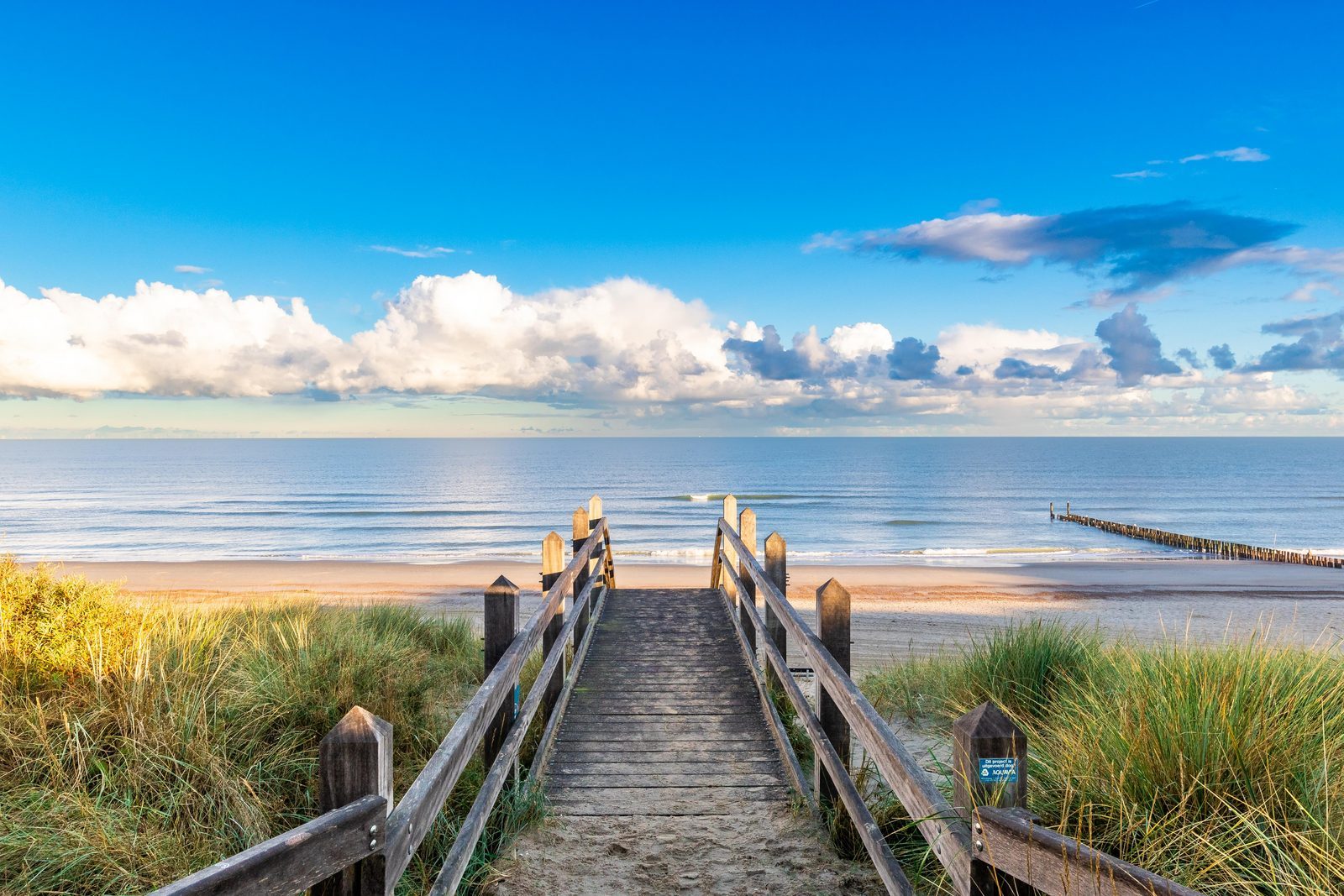  Dune crossing Dishoek