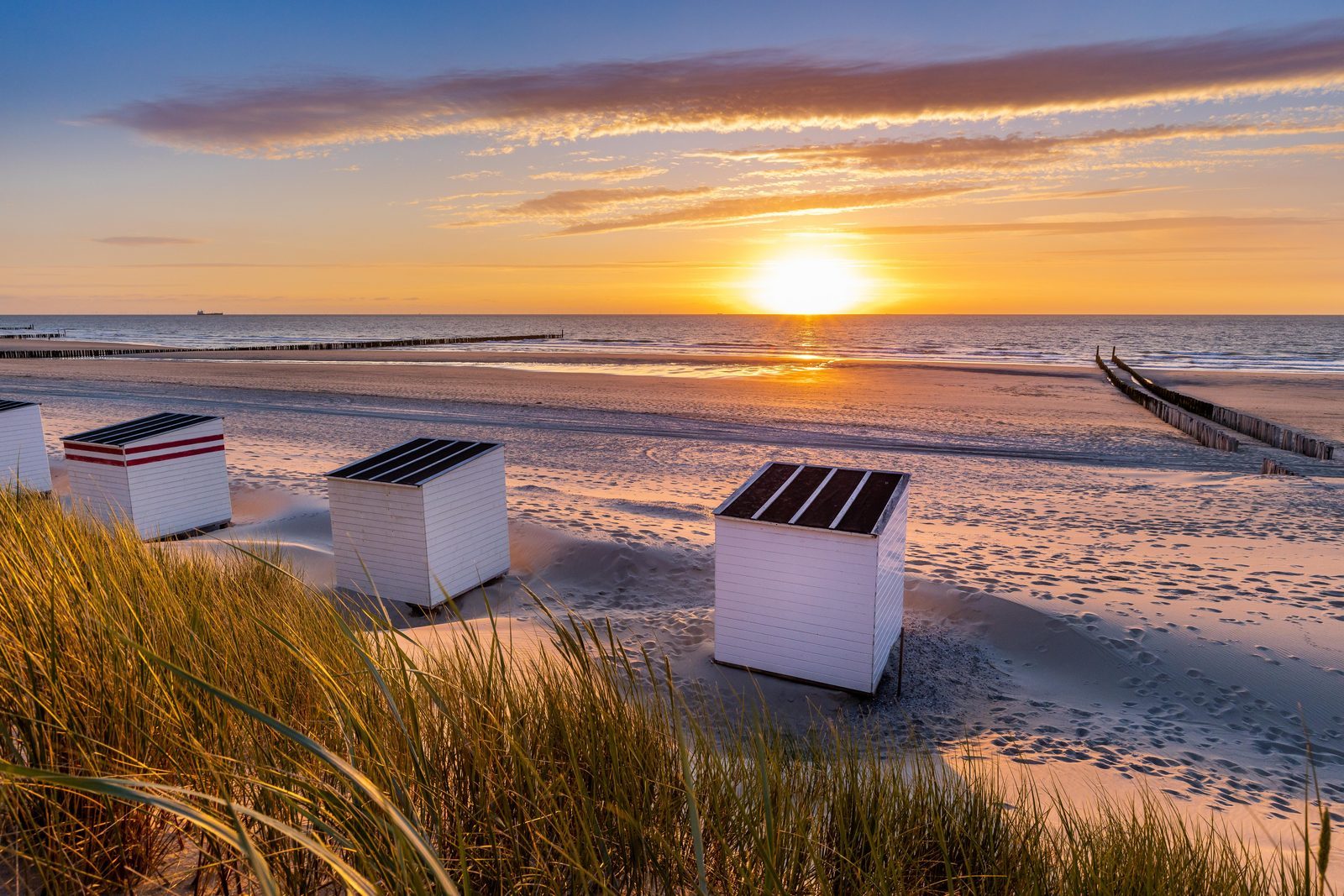 Beach and dunes on the Zeeland coast