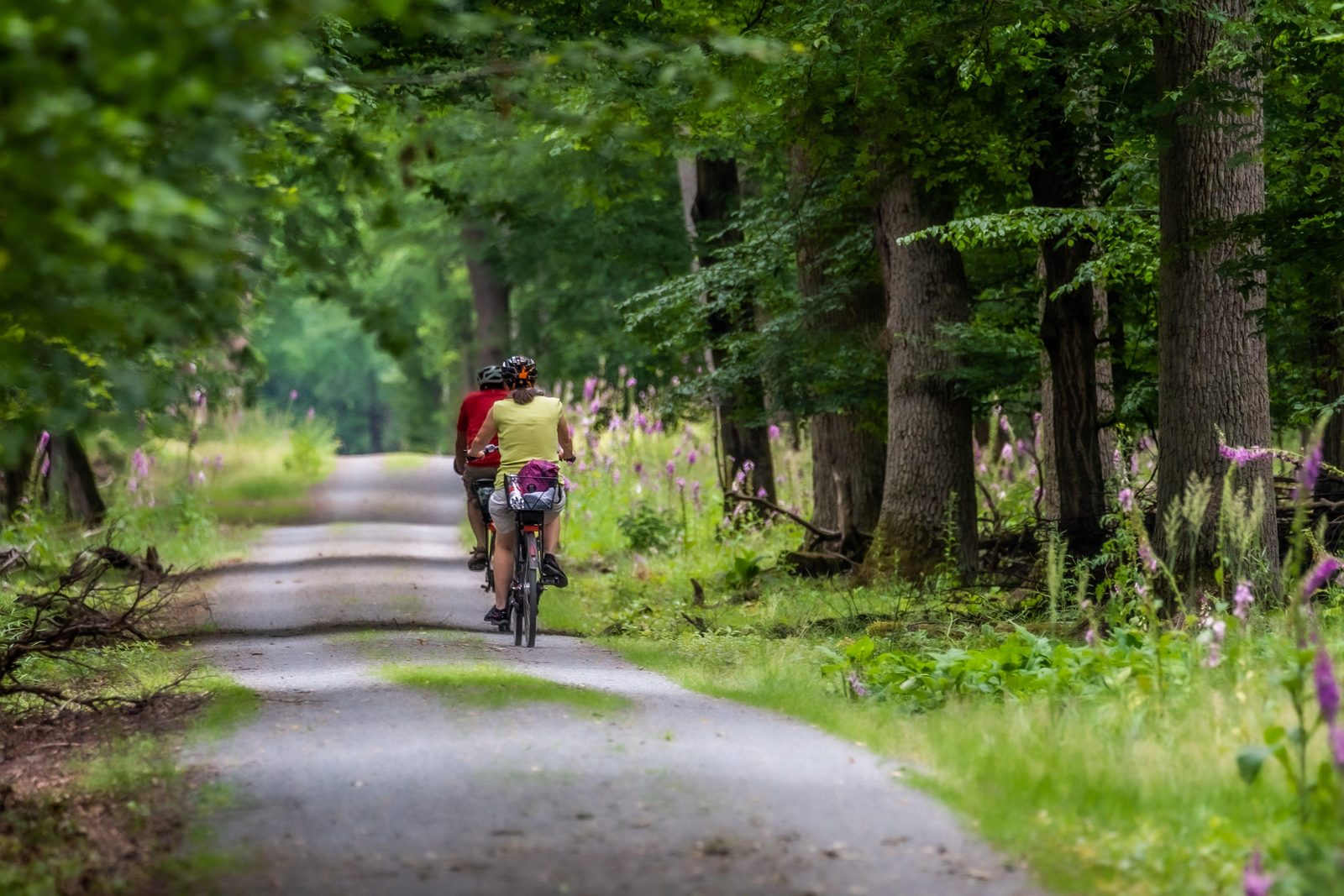 Veluwse Fietsdagen