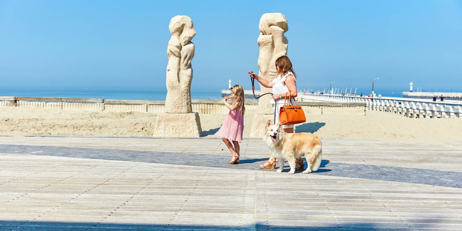 Hond Nieuwpoort