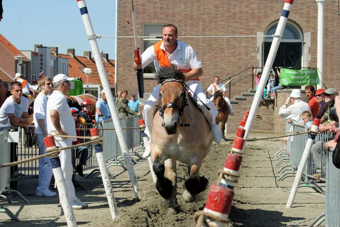 Ringrijden 