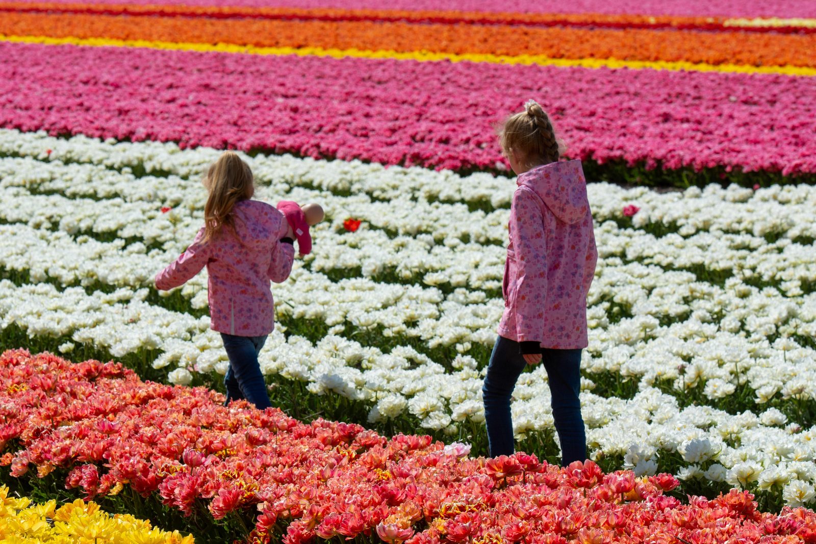 Linnaeushof: Europe's biggest playground