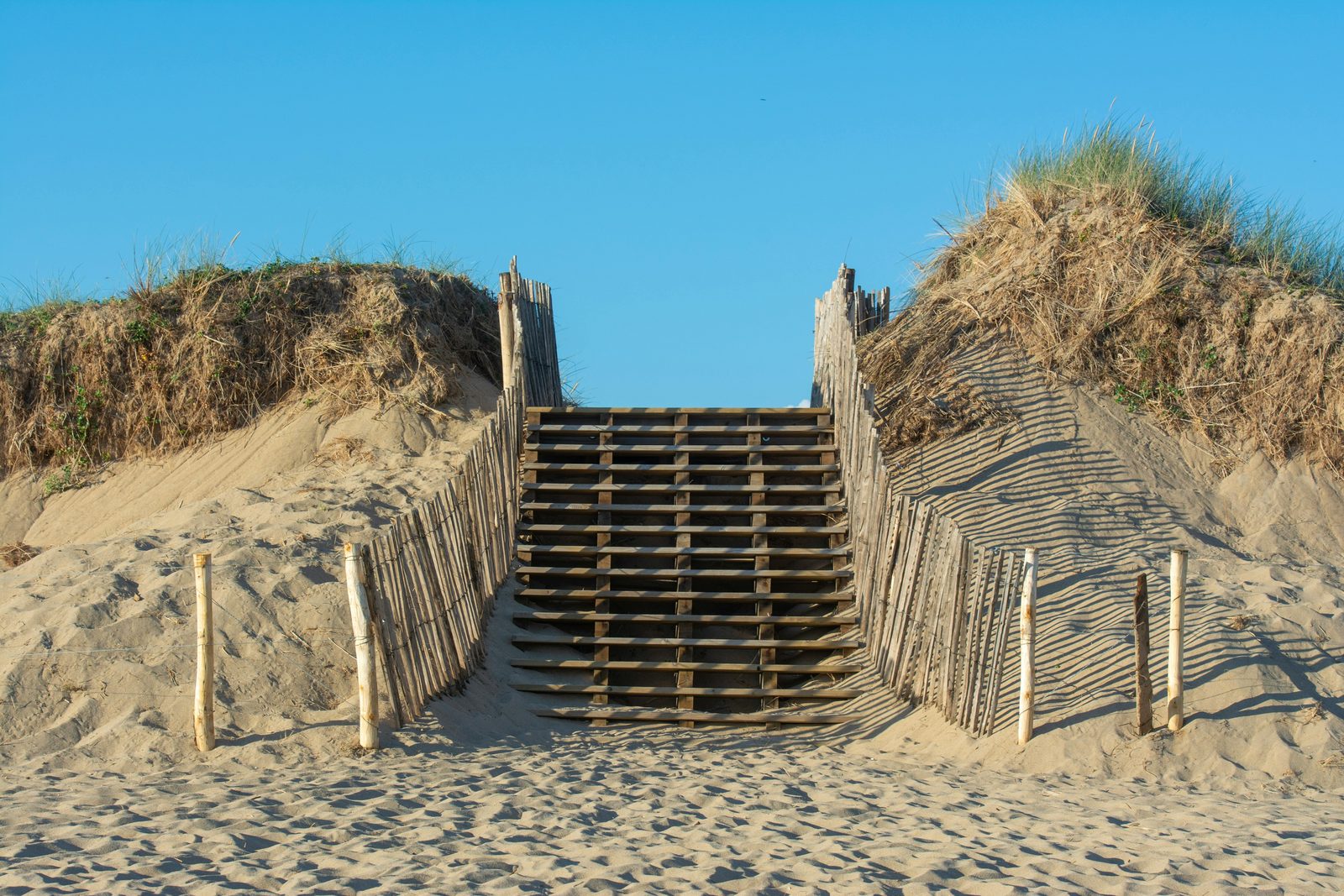 Beach of Bloemendaal aan Zee