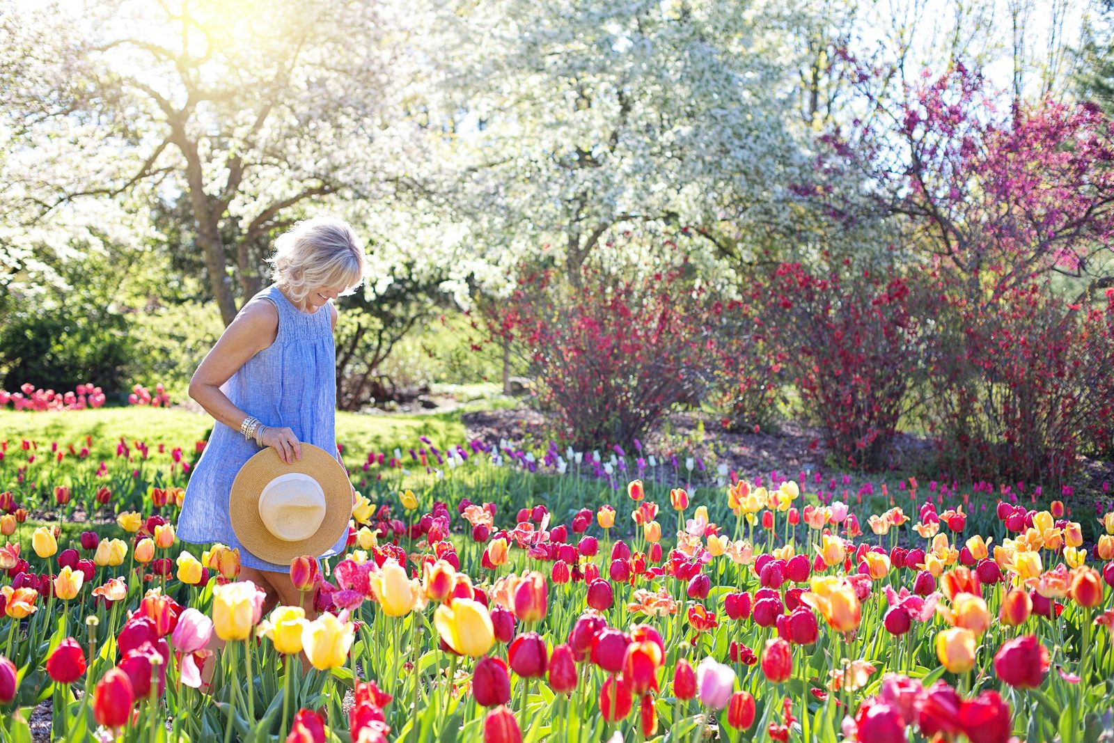 De Keukenhof