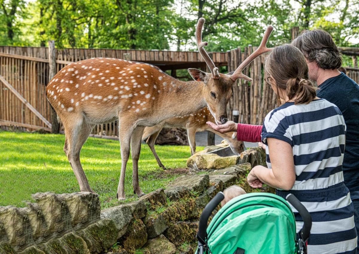 Dierentuin Nordhorn