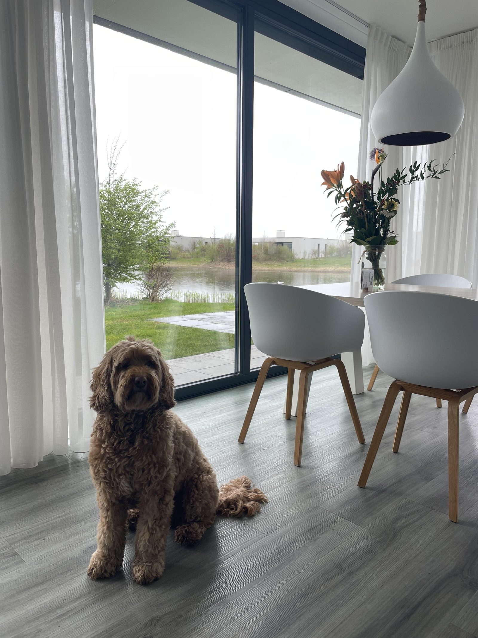 Pet-friendly holiday villas