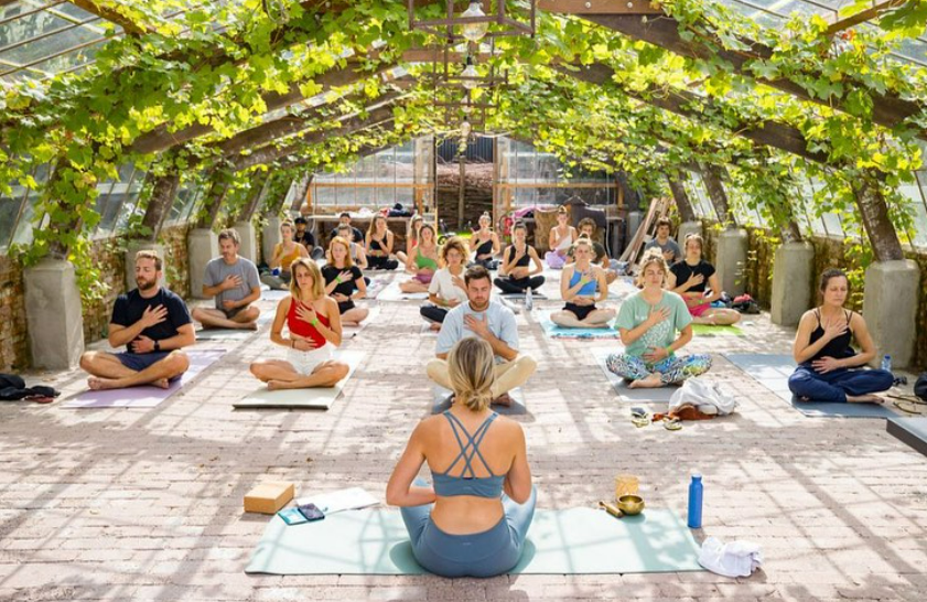 Yoga in de druivenkas