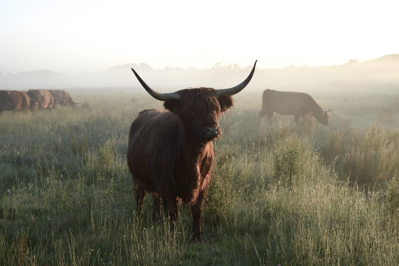 Nature wandering holidays Zeeland Netherlands Kamperland