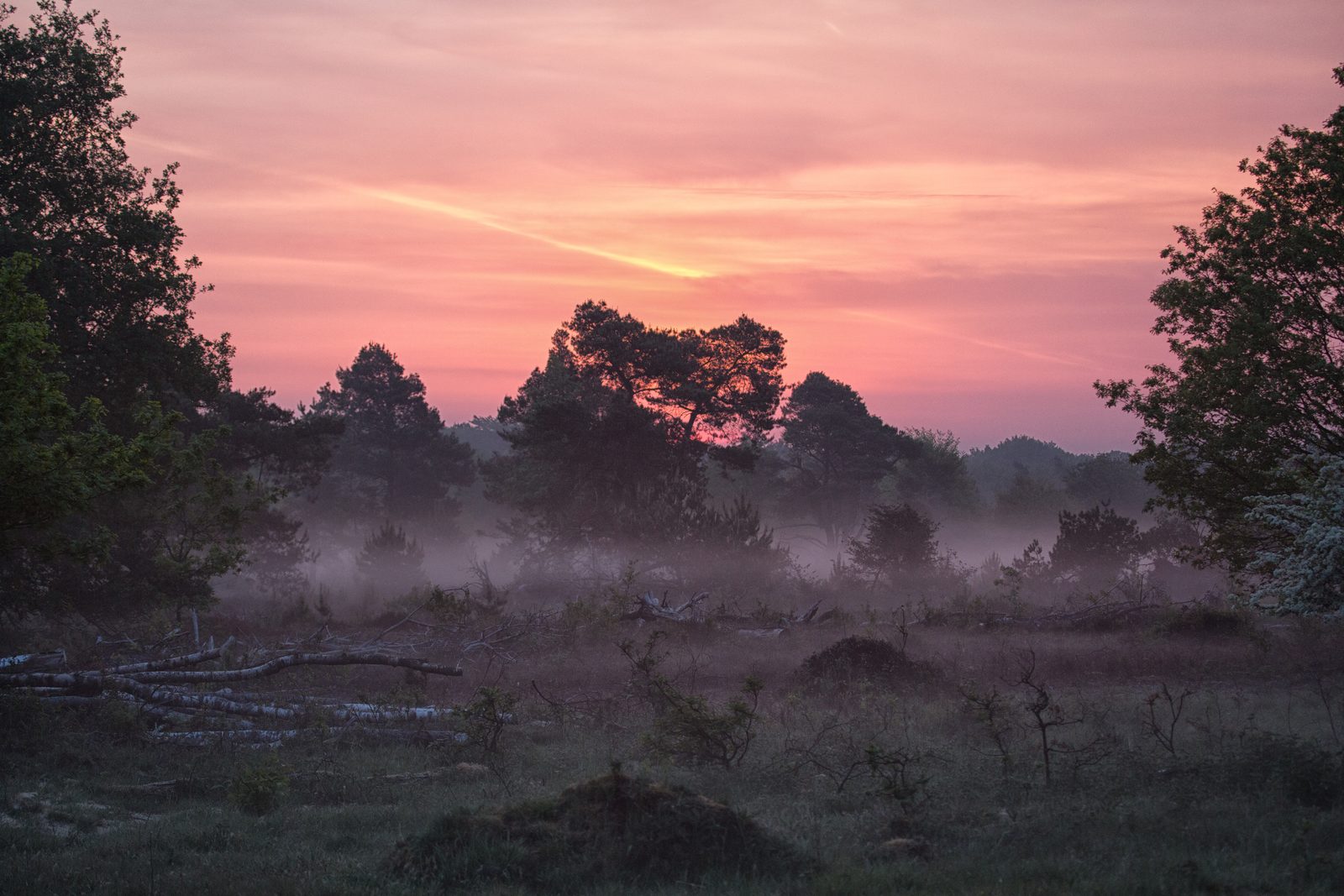 Nationalpark De Sallandse Heuvelrug