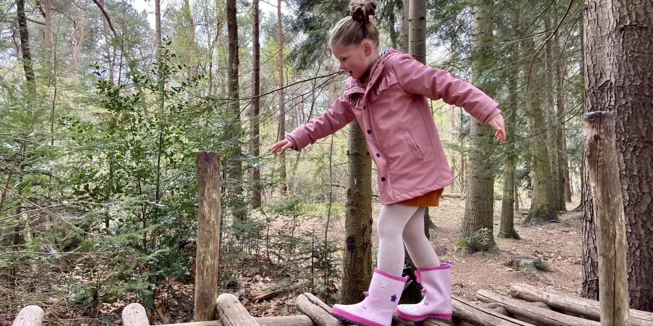 Speelbos in het hol van de Leeuw