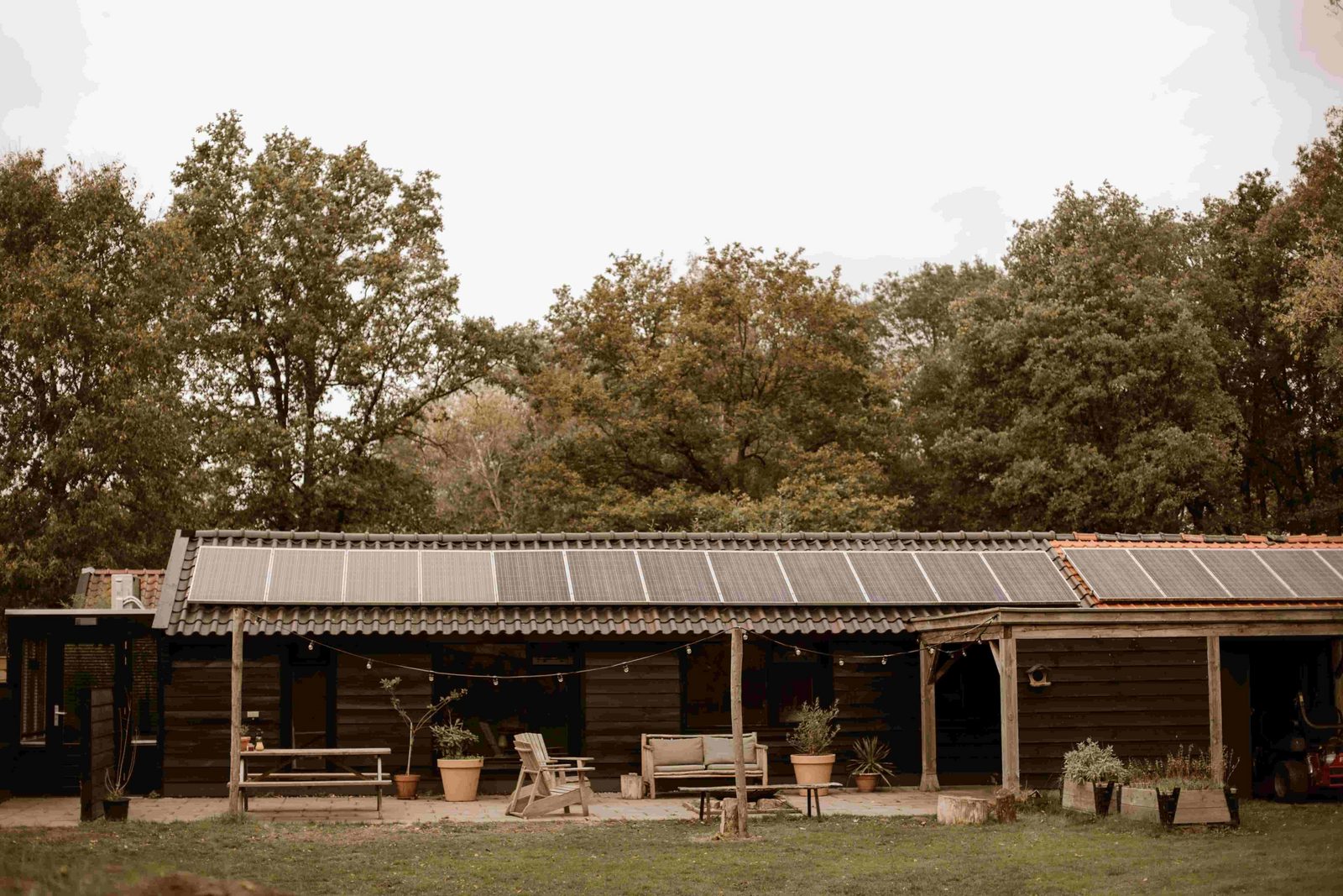The farm