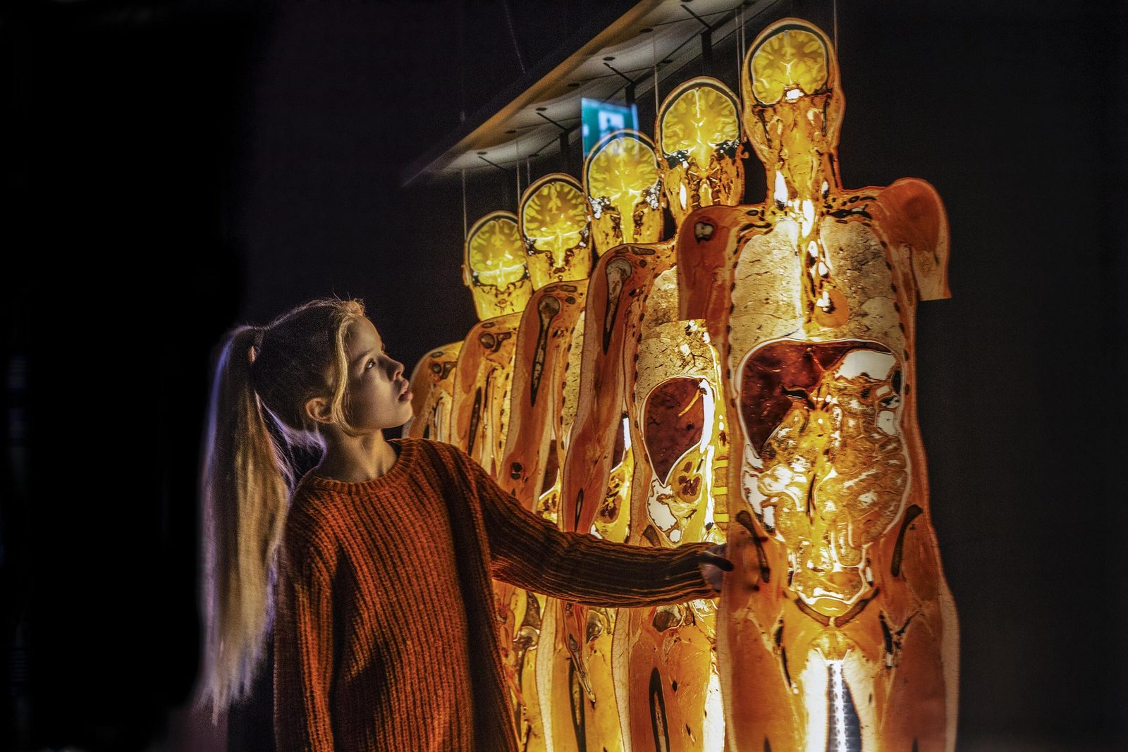 Oud Sint-Jan, Brugge - BODY WORLDS 