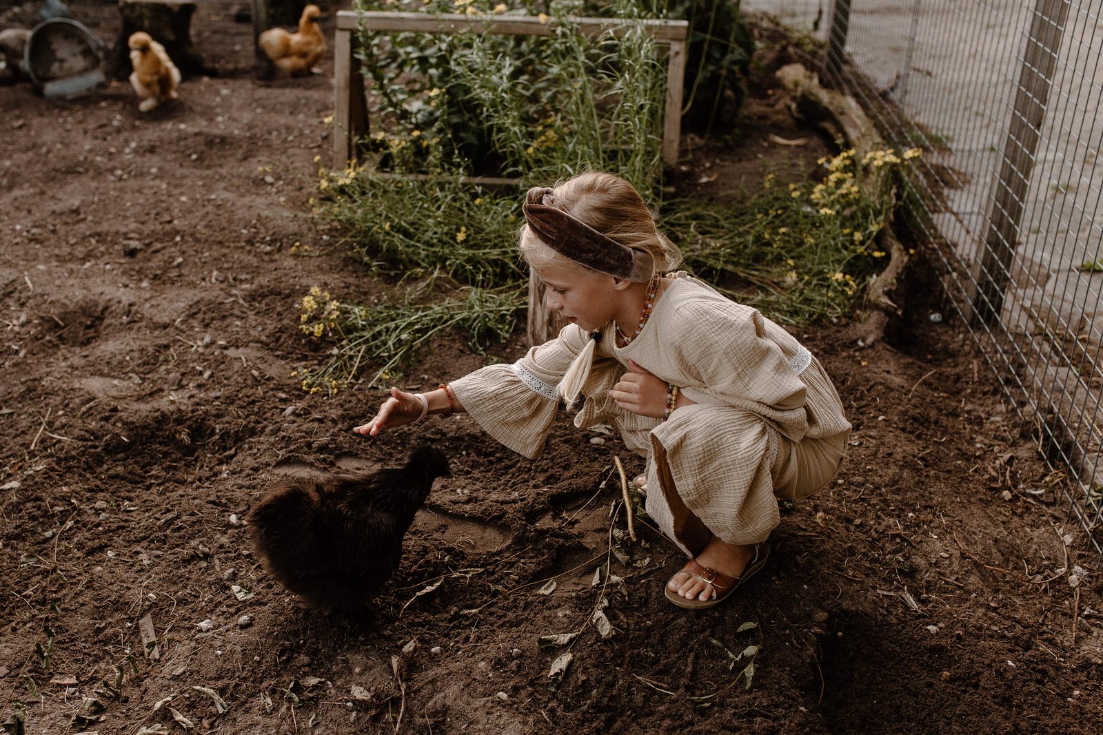 The farm