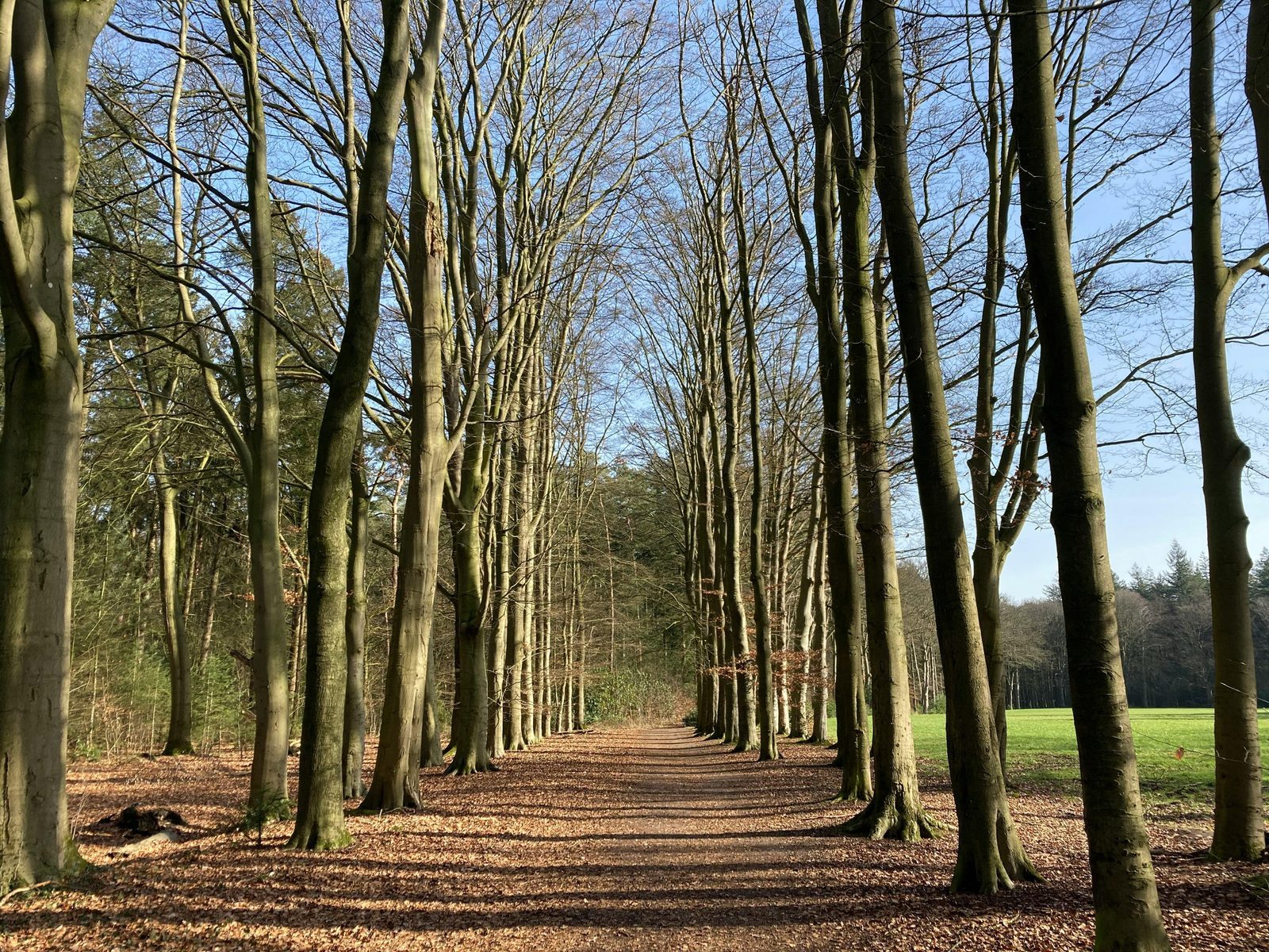 Veelgestelde vragen