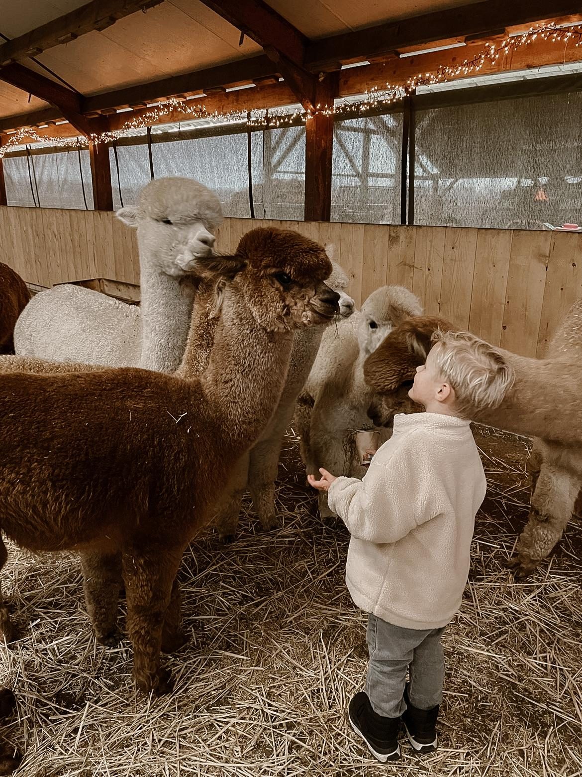 Dagje uit met kids