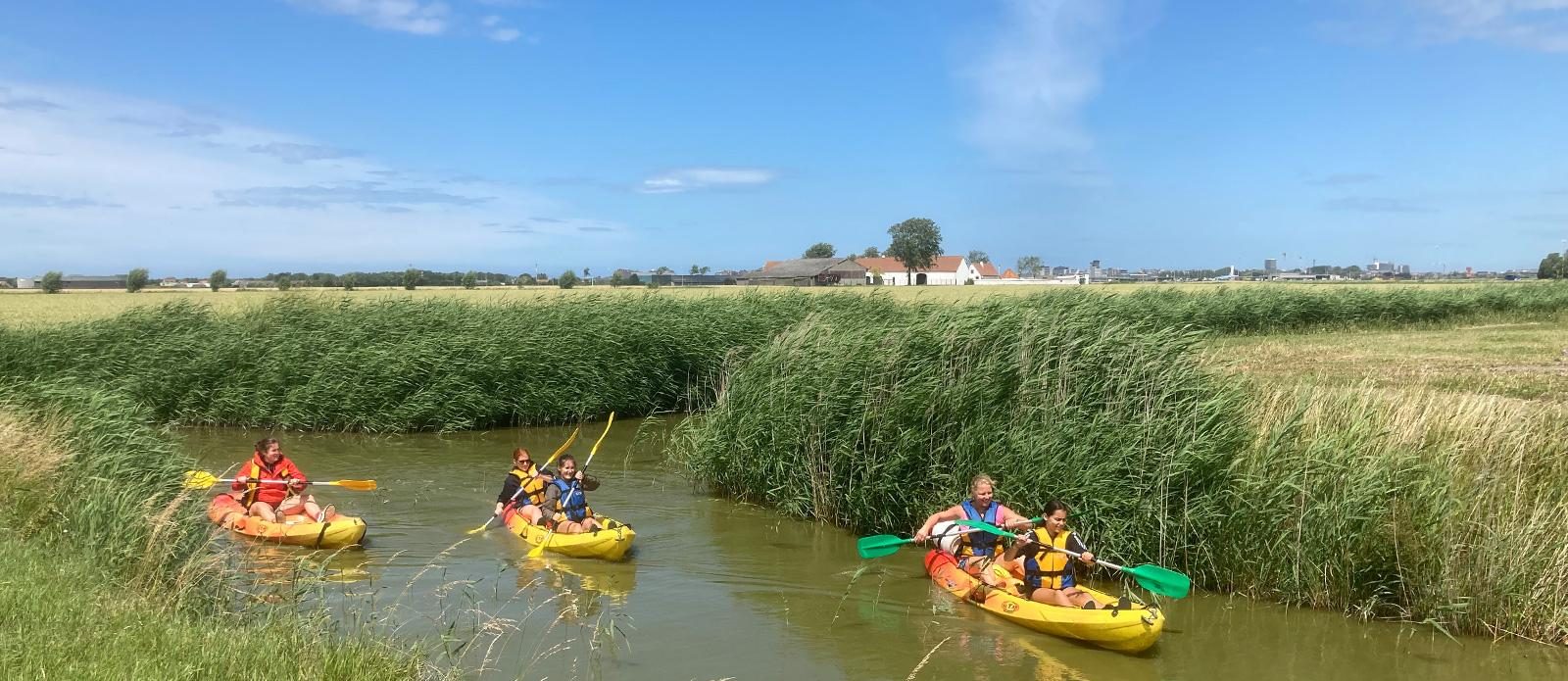 Kajak & Suptouren durch die Polder