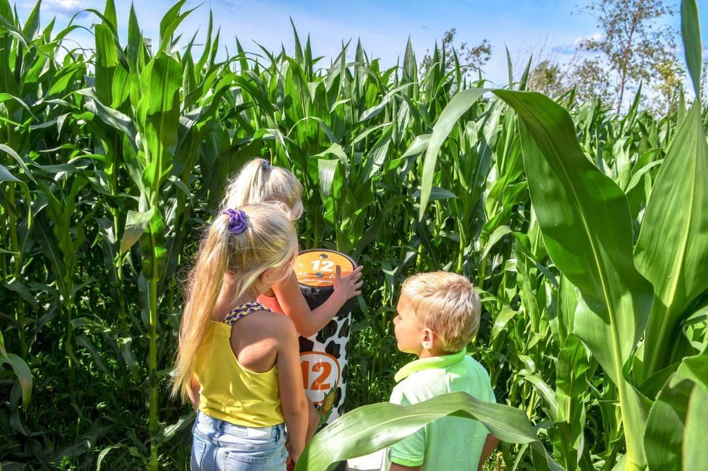 De leukste activiteiten met je Ukkie