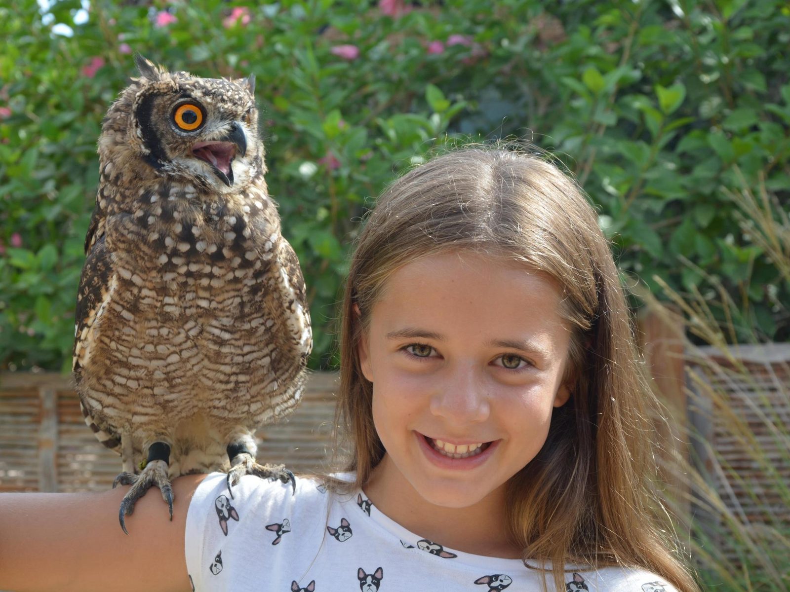 Chica con búho al hombro en Terra Natura Benidorm