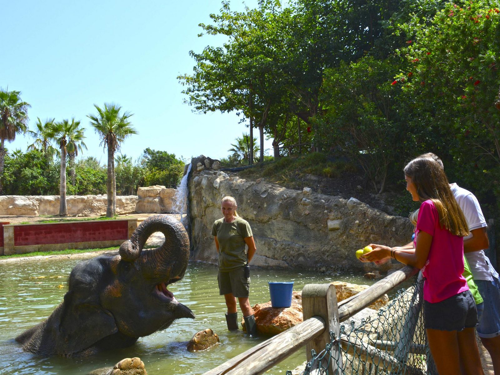 La gente observa a un elefante con su cuidador en Terra Natura Benidorm