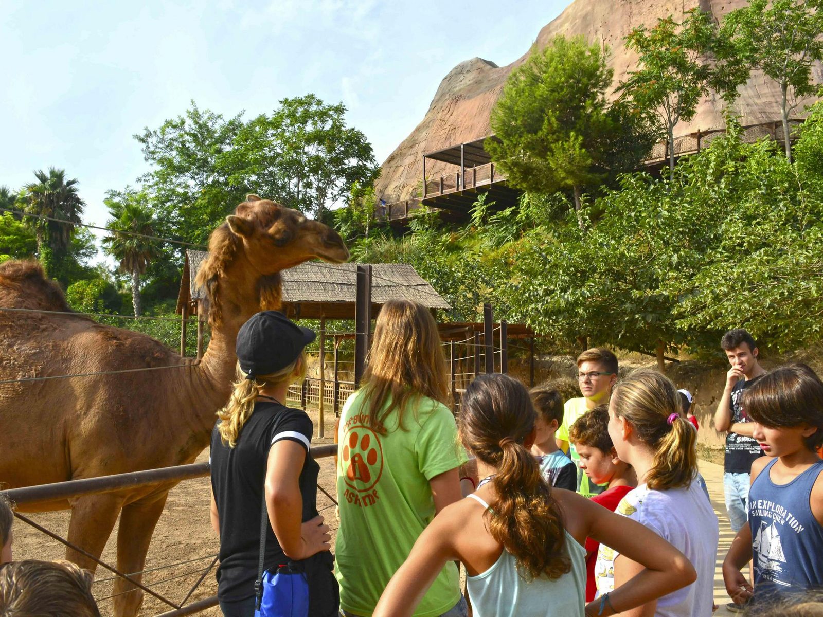 Gente en Terra Natura Benidorm con los camellos y dromedarios