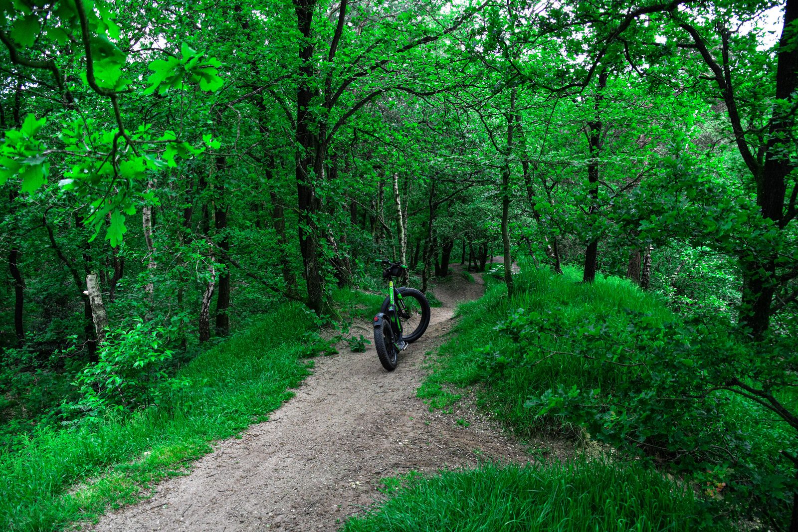 Ontdek de Veluwe op een E-step of E-mountainbike