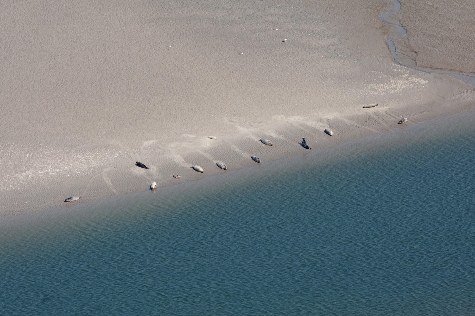 Oosterschelde