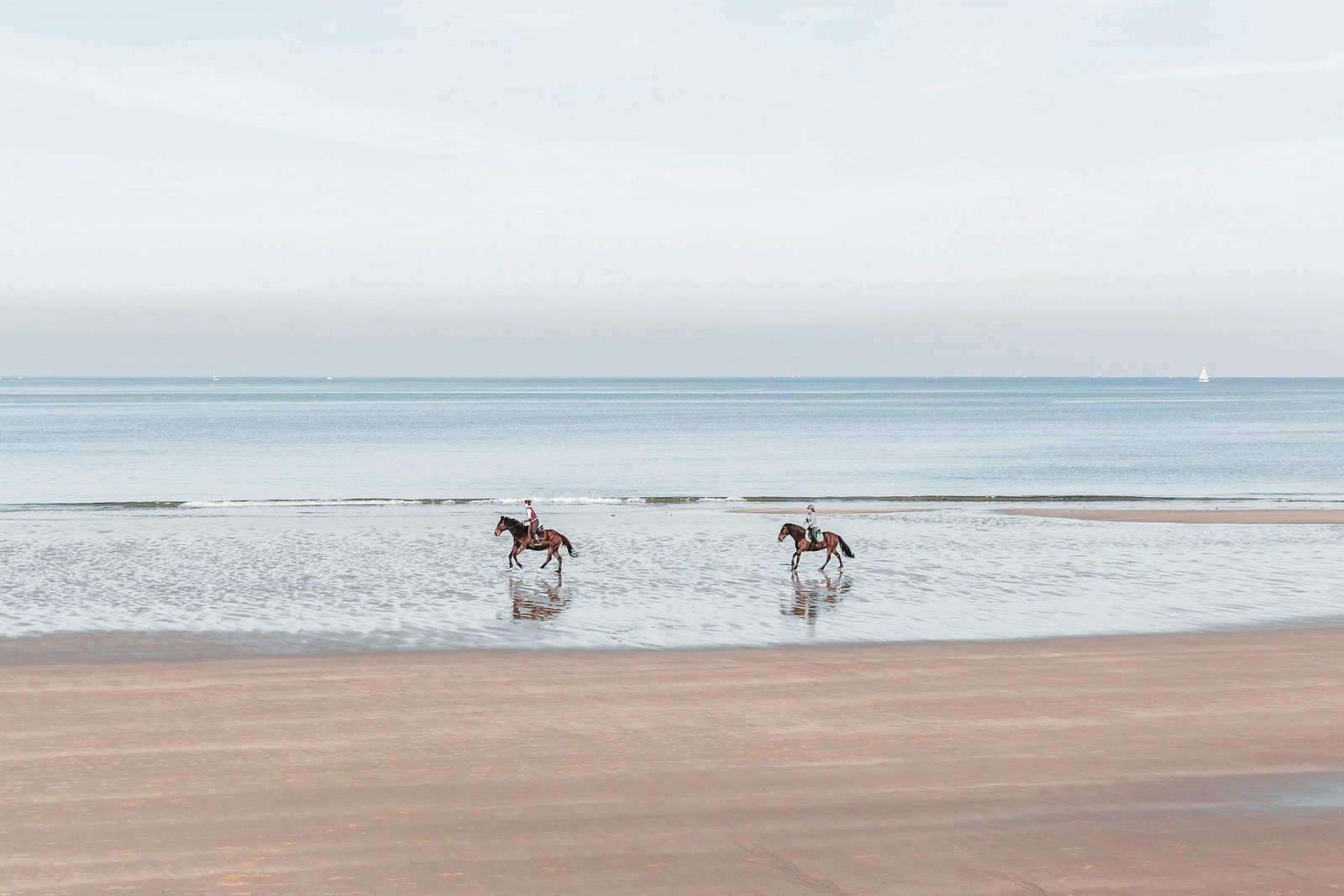 Holiday by the sea in the Netherlands