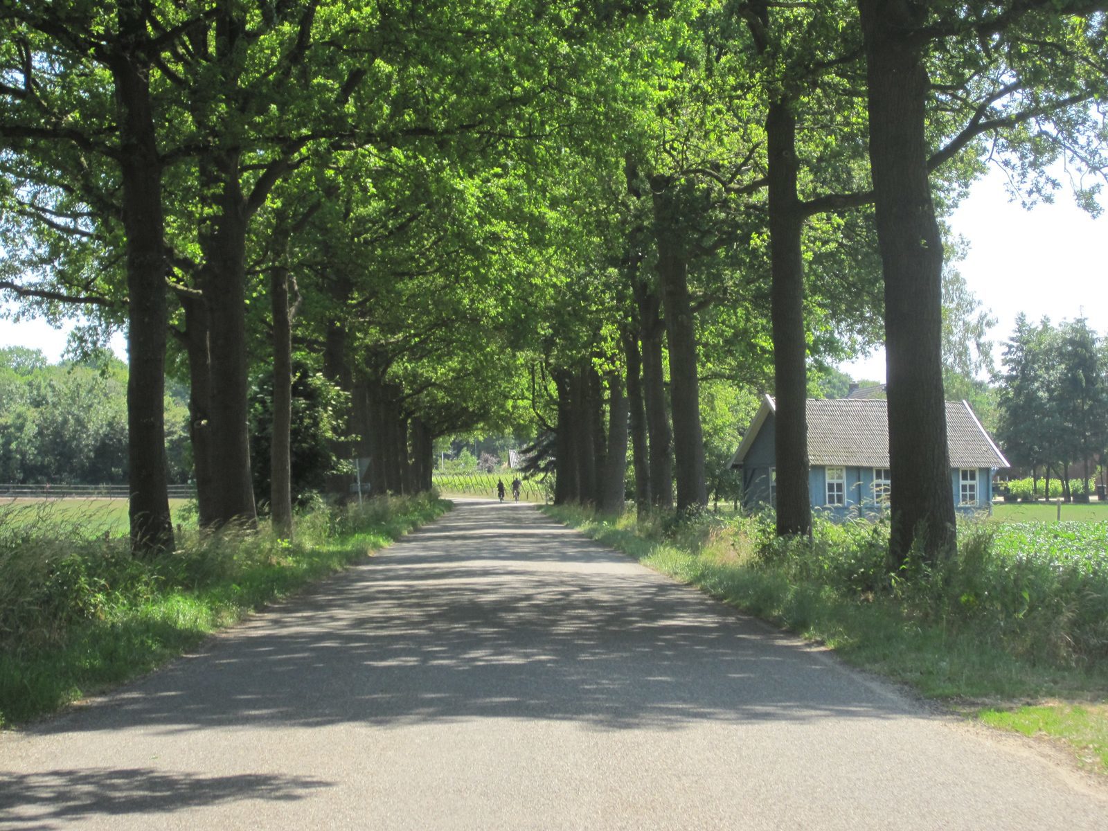 the spa holiday homes of Onthaasten in the Achterhoek are located in a beautiful rural location in the Achterhoek region of Gelderland, where hospitality is self-evident