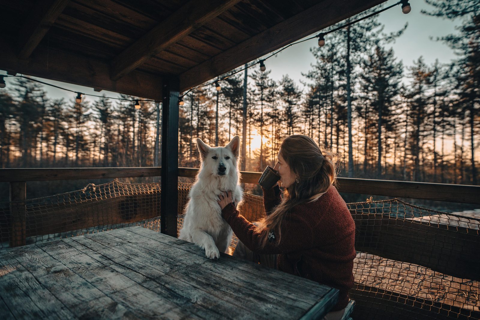 Natuurhuisje met hond