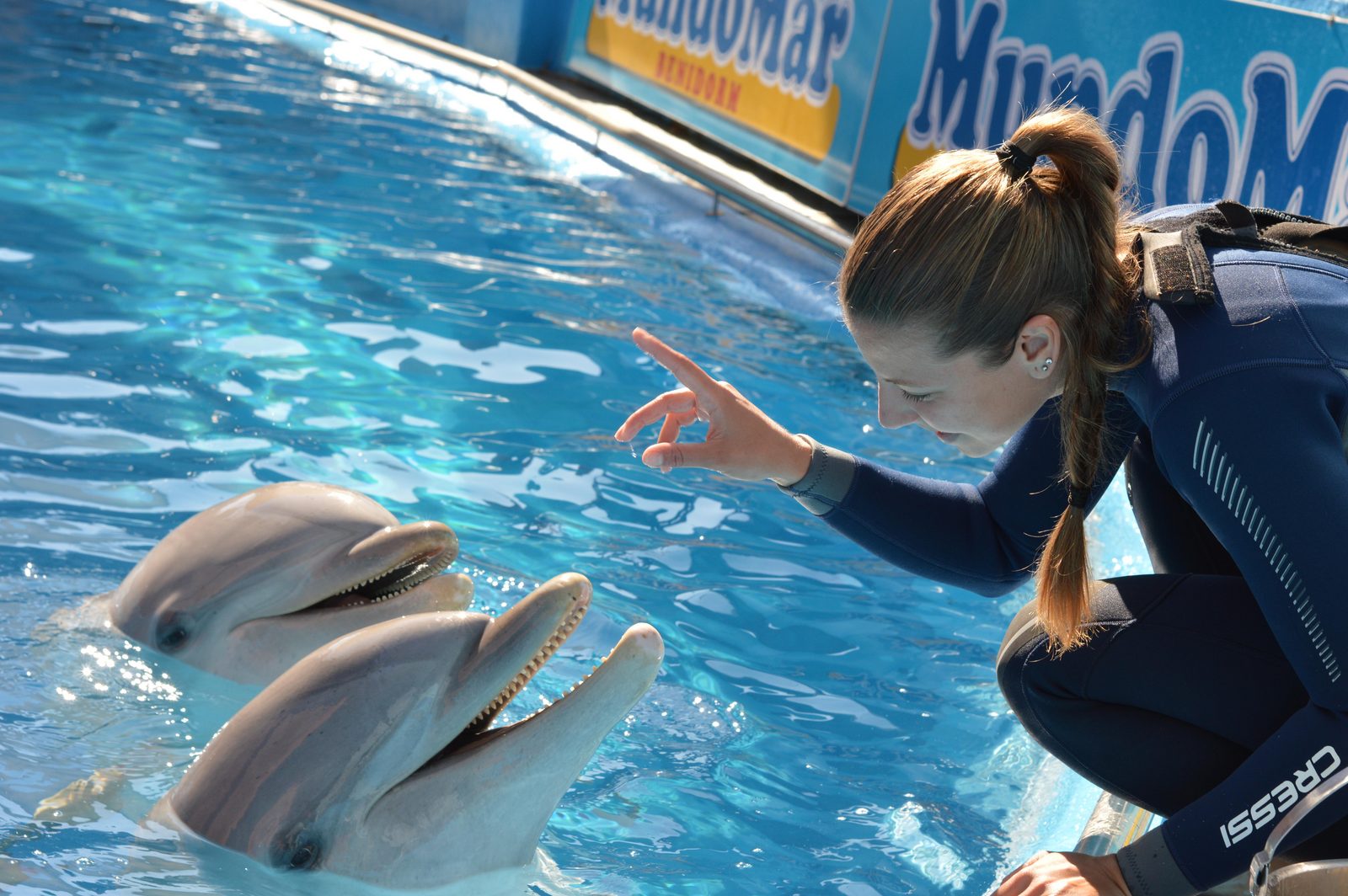 Dolphins with trainer in Mundomar Benidorm