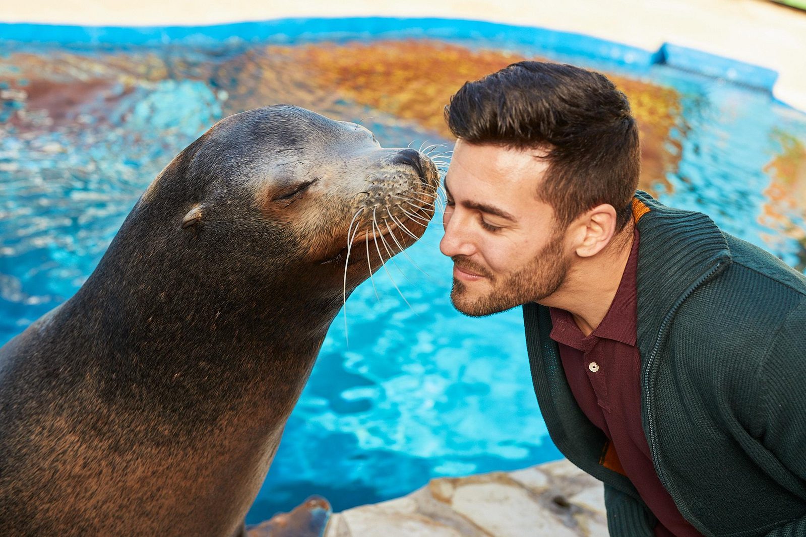 Man with sea lion in Mundomar Benidorm