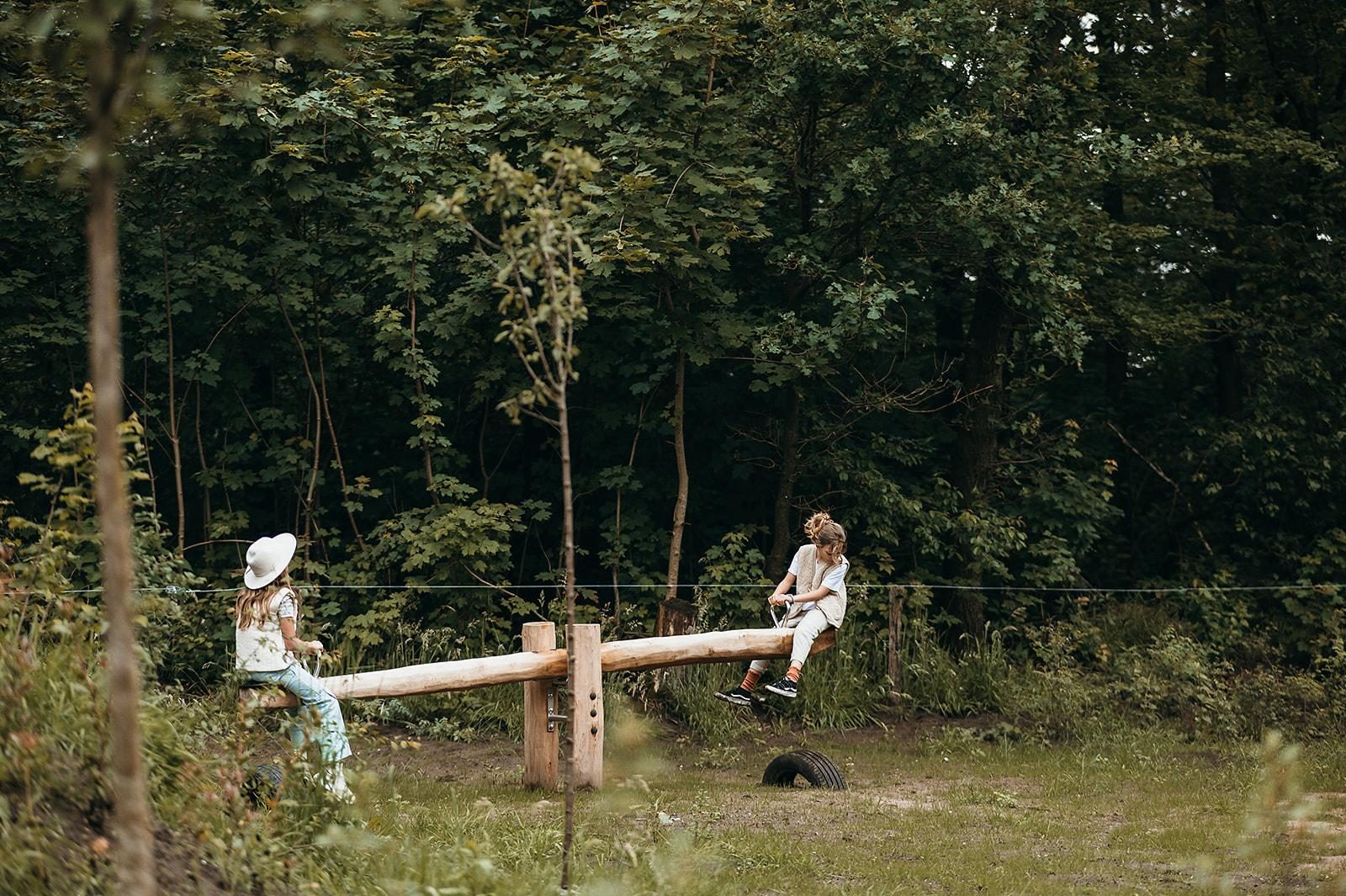 The forest